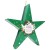 Gwiazdka Green Star_1.jpg