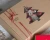 piesek_LE_upscale_prime.webp